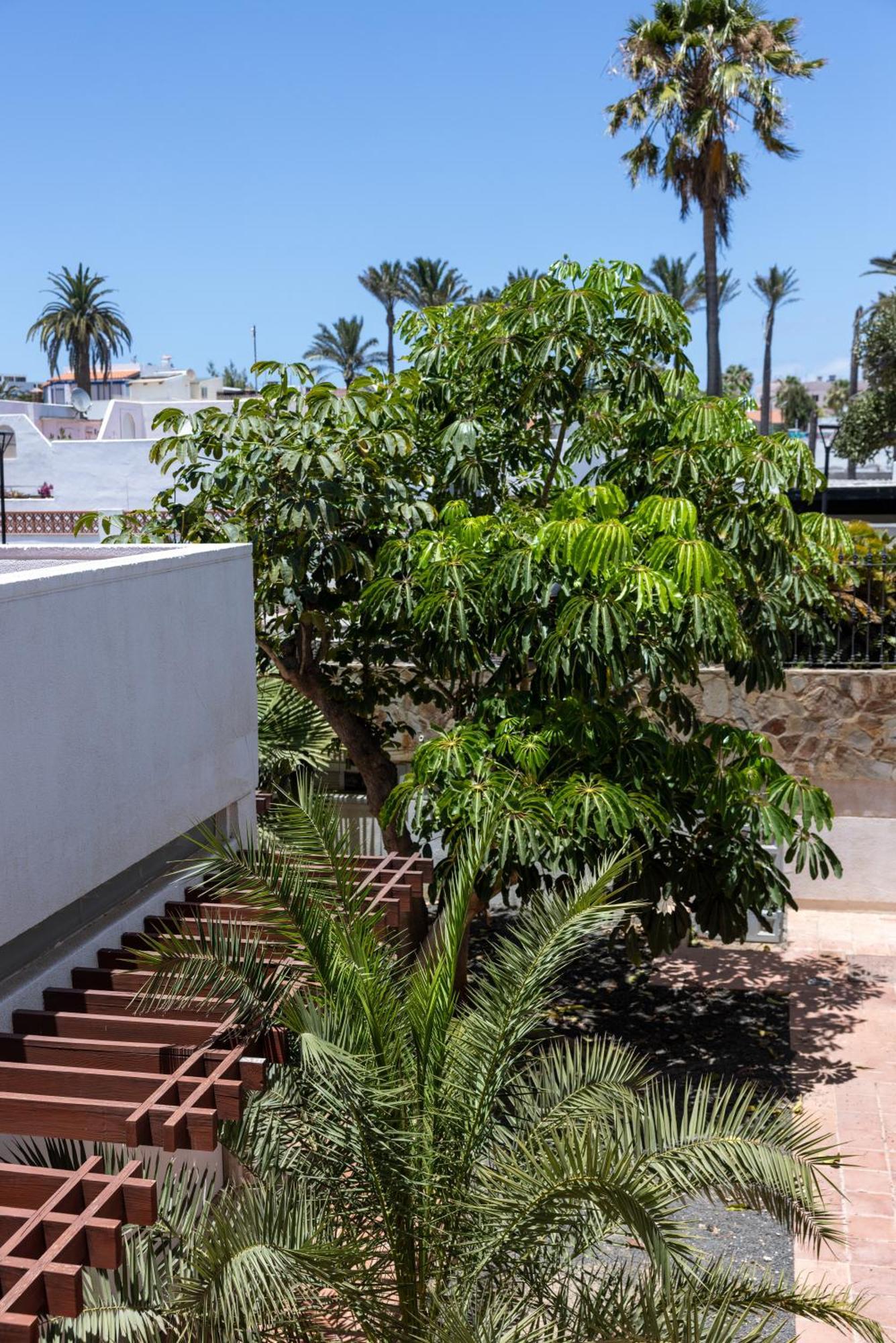 Fuentepark Apartments Corralejo Exterior foto